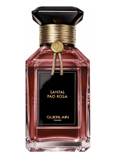 Generic Perfumes | Premium Perfume Oils – Inspired by Designer